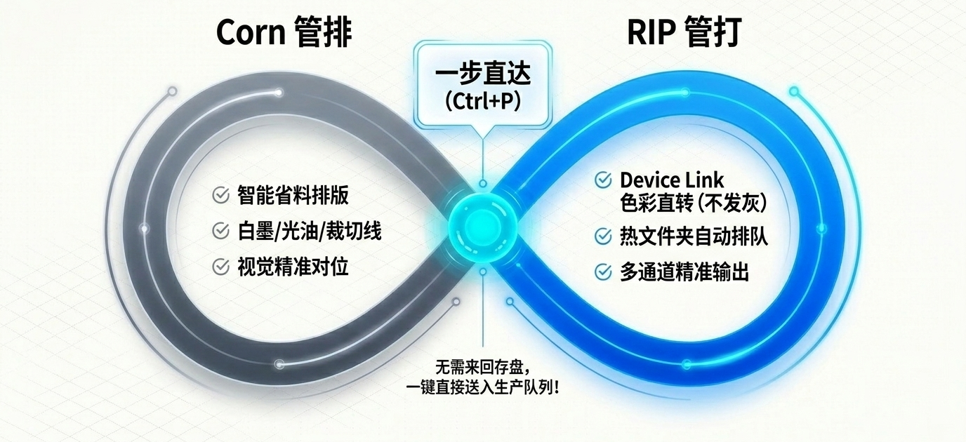 Corn 与 RIP 双引擎闭环